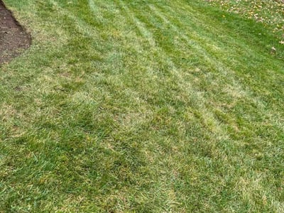 Lawn care service in Cranston, 02920