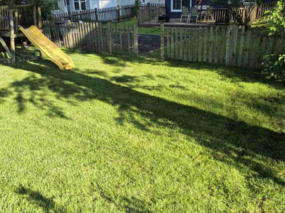 Lawn care service in Bolingbrook, 60440