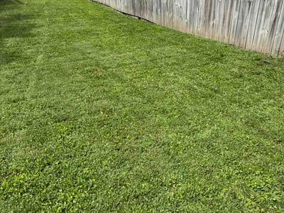 Lawn care service in Belleville, 62221