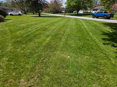 Lawn care service in Rochester, 14625
