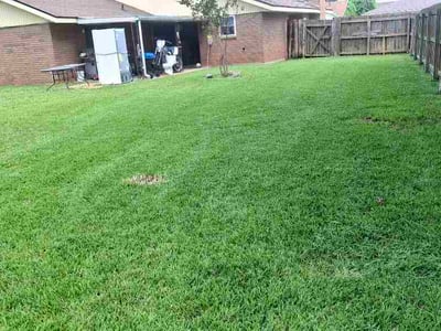Lawn care service in Bossier City, 71111