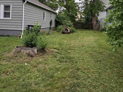 Lawn care service in Omaha, 68108