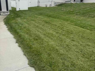 Lawn care service in Omaha, 68116