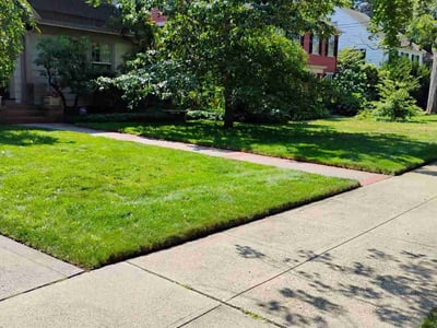Lawn care service in New Haven, 06511