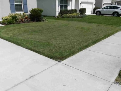 Lawn care service in Odessa, 33556