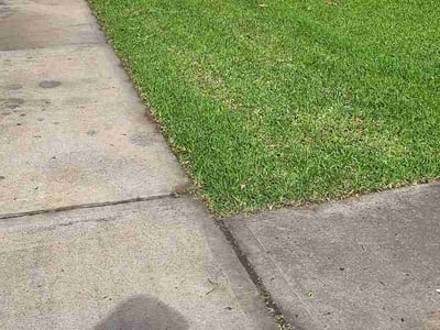 Lawn care service in Katy, 77494