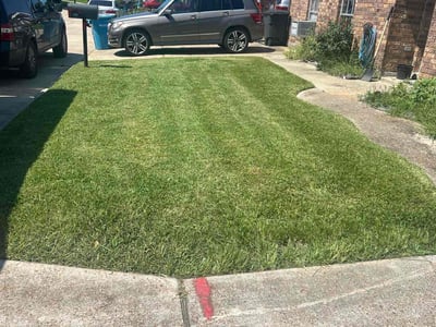 Lawn care service in Saint Rose, 70087