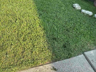 Lawn care service in Newark, 07106