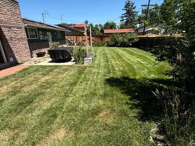 Lawn care service in Lakewood, 80226