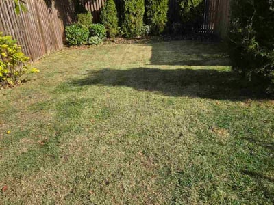 Lawn care service in Baltimore, 21210