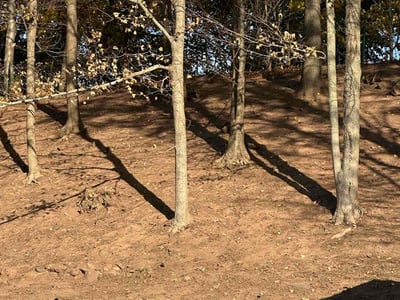 Lawn care service in Meriden, 06450