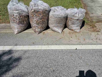 Lawn care service in Winter Park, 32792