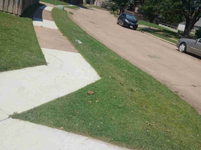 Lawn care service in Plano, 75023