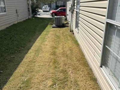 Lawn care service in Sterrett, 35147