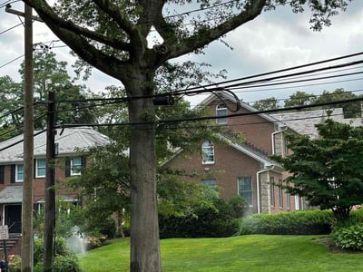 Lawn care service in Manhasset, 11030