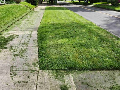 Lawn care service in Newberg, 97132