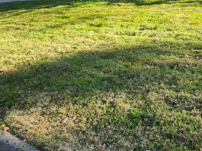 Lawn care service in , 