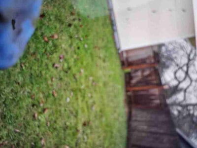 Lawn care service in , 