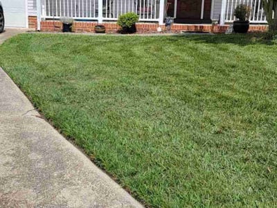 Lawn care service in Virginia Beach, 23454