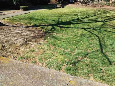 Lawn care service in Lilburn, 30047