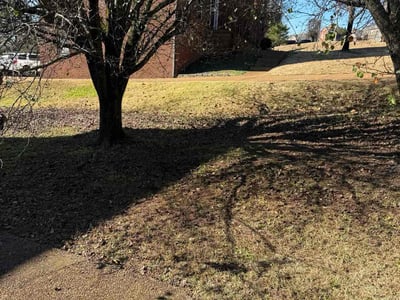 Lawn care service in Mt. Juliet, 37122