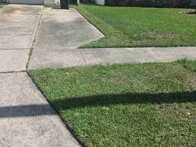 Lawn care service in Orlando, 32822