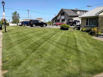 Lawn care service in Palmdale, 93550