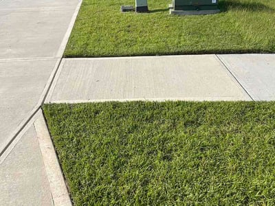 Lawn care service in Savannah, 31419