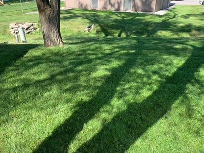 Lawn care service in Rockford, 49341