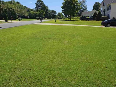 Lawn care service in Covington, 30016