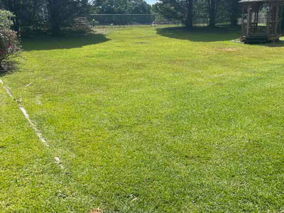 Lawn care service in Locust Grove, 30248
