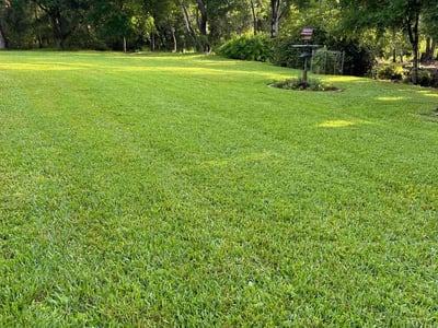 Lawn care service in Odessa, 33556