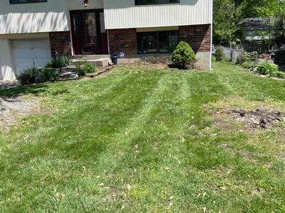 Lawn care service in Louisville, 40291