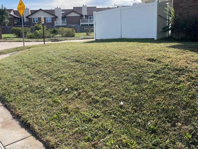 Lawn care service in St. Louis, 63146