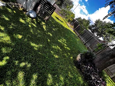 Lawn care service in Austin, 78754
