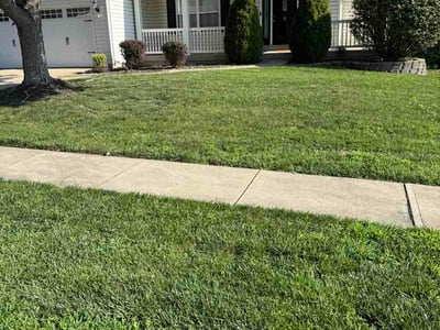 Lawn care service in Wentzville, 63385