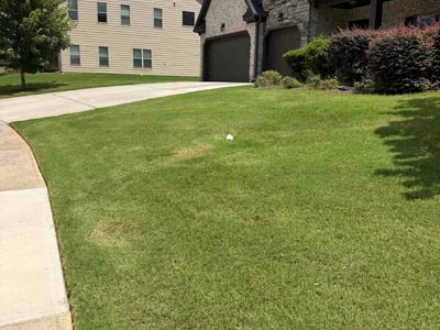 Lawn care service in Conyers, 30013