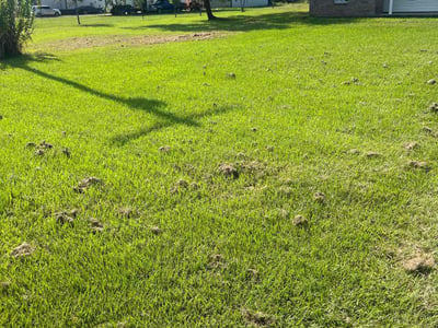 Lawn care service in Summerdale, 36580