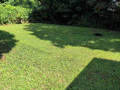 Lawn care service in Meriden, 06451