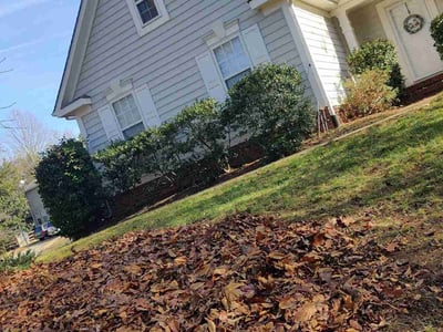 Lawn care service in , 