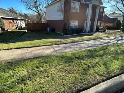 Lawn care service in Garland, 75044
