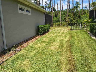 Lawn care service in Ormond Beach, 32174