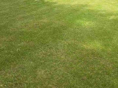 Lawn care service in Augusta, 30904