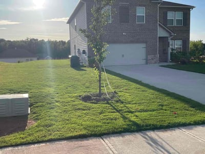 Lawn care service in Hampton, 30228
