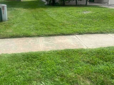 Lawn care service in Indianapolis, 46234
