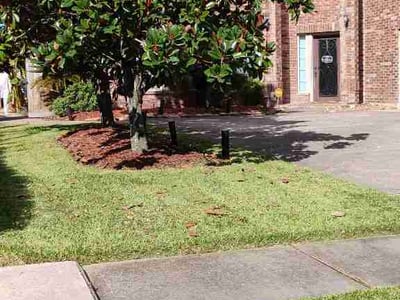Lawn care service in Spring, 77388