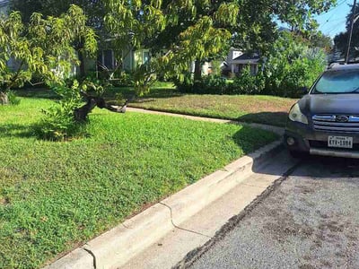 Lawn care service in Austin, 78704