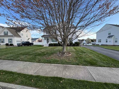Lawn care service in Glen Allen, 23060