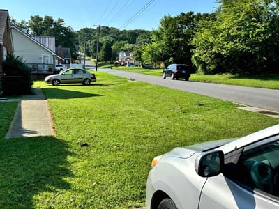 Lawn care service in Roanoke, 24012