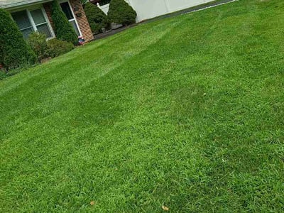 Lawn care service in Roslyn, 19001